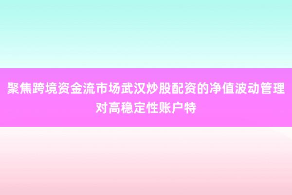 聚焦跨境资金流市场武汉炒股配资的净值波动管理对高稳定性账户特