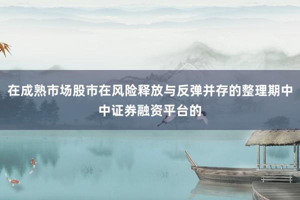 在成熟市场股市在风险释放与反弹并存的整理期中中证券融资平台的