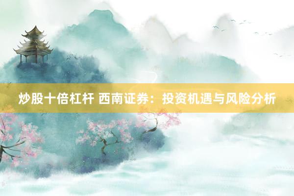 炒股十倍杠杆 西南证券：投资机遇与风险分析